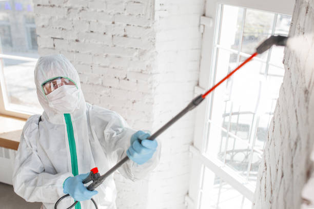 Asbestos and Lead Testing During Mold Inspection in Rio Rancho Estates, NM
