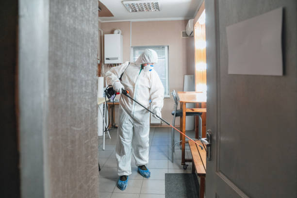Best Biohazard Mold Removal  in Rio Rancho Estates, NM