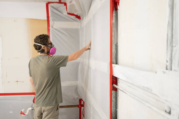 Best Post-Construction Mold Inspection  in Rio Rancho Estates, NM