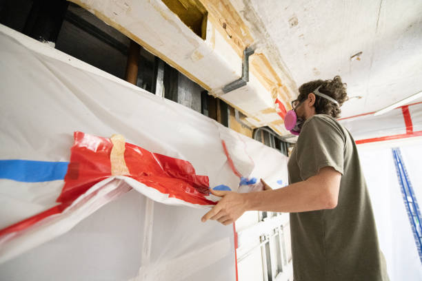 Best Mold Odor Removal Services  in Rio Rancho Estates, NM