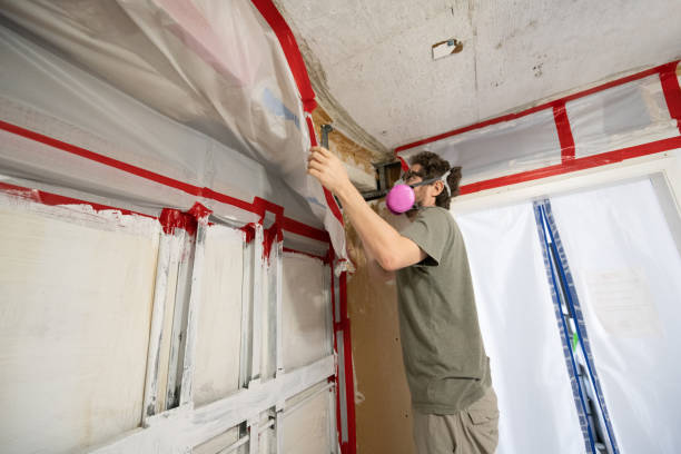 Best Mold Documentation for Insurance Claims  in Rio Rancho Estates, NM