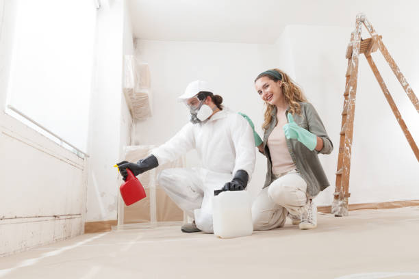 Best Mold Damage Restoration  in Rio Rancho Estates, NM